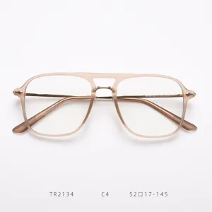 Monture de lunettes classique à double pont avec design translucide élégant au quotidien.