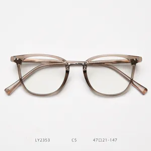 Vue détaillée de la monture de lunettes optique vintage transparente grise en acétate.