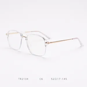 Vue détaillée de lunettes à double pont, monture transparente et branches métal rétro.