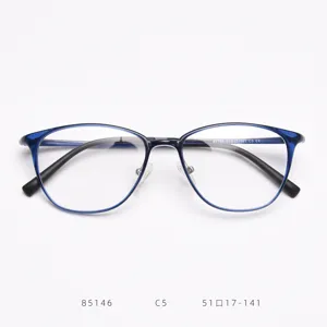 Blue plastic steel optical glasses frame, clear big frame myopia frame for daily chic wear.