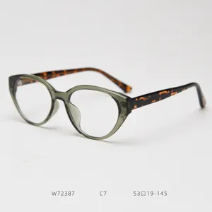 Detailed view of retro cat-eye eyeglass frame with stylish tortoise temples and chic color.