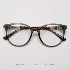 Large round optical eyeglasses frame for women and men, vintage style clear lens glasses.