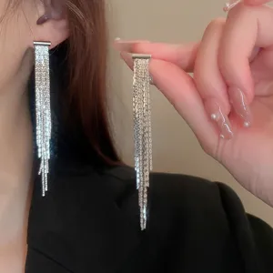 Detailed view of long silver-tone tassel earrings featuring multi-strand chains, chic style.