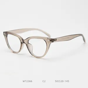 Detailed view of translucent grey cat eye glasses frame, showing smooth temple and fine hinges.
