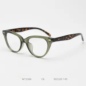 Detail view of retro cat-eye optical glasses frame with green and tortoiseshell temples.
