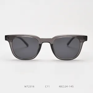 Detailed view of grey transparent frame polarized sunglasses, showing frame texture and lens.