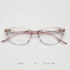 Detailed view of pink cat eye eyeglasses frame, clear acetate style, modern optical design.