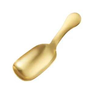 Geborsteld gouden roestvrijstalen koffielepeltje korte handvat theelepel vierkante schep ijs