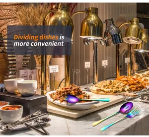 Roestvrijstalen serveerlepelset, regenboog saladevork en bestek voor buffet en diner.