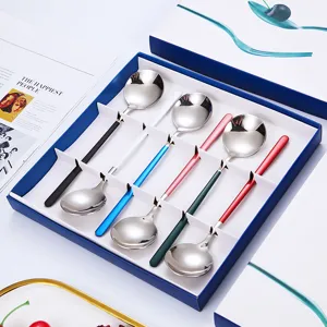 Luxury 6-piece stainless steel spoon gift set with colorful handles round soup spoons
