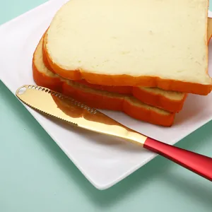 Roestvrijstalen botermes met gaten, rode handgreep kaasmes voor brood en jam.