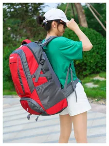 Vue détaillée du grand sac à dos de randonnée extérieur, sac de sport léger pour homme.