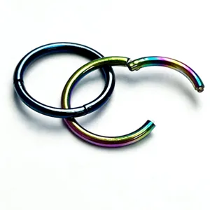 Stainless steel hinged segment ring close-up, rainbow and dark blue body piercing detail.