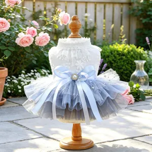 Gros plan détaillé de la jolie robe de princesse pour animal de compagnie au jardin.