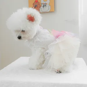 Süßes mehrlagiges Spitzen-Haustierkleid für kleine Hunde, süßer Regenbogen-Tüllrock Detailansicht.
