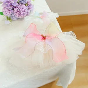 Süßes Haustier Tutu Kleid mit Regenbogen Schleife und Spitze für kleine Hunde Hochzeit Party.