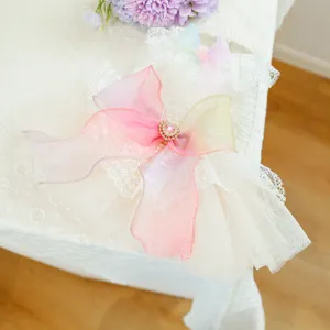 Süßes Regenbogen-Tüll-Haustierkleid mit mehrschichtigem Spitzenrock für kleine Hunde und Welpen.