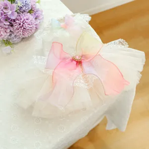 Detailansicht des Haustier Tutu Kleides mit mehrlagiger Spitze und Regenbogen Schleife mit Herz.