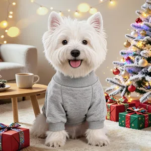 Cozy grey dog turtleneck sweater for small dogs, warm winter pet clothes for puppy holiday daily.