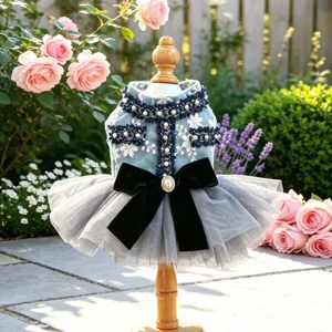 Chique blauwe tweed puppy prinsessenjurk met parels en zwarte fluwelen strik voor kleine honden feest.