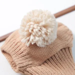 Gros plan détaillé d'un bonnet tricoté confortable pour animal avec pompon doux et chaud.