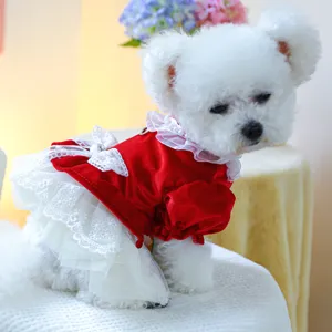 Detailaufnahme kleiner Hund Prinzessin Kleid, roter Samt und weiße Spitze Haustier Kleidung