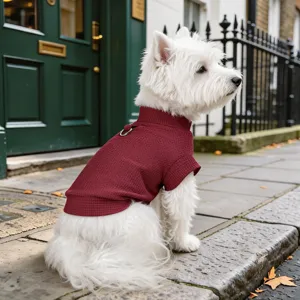 Détail en gros plan du pull pour animal en tricot gaufré bordeaux avec anneau de traction.