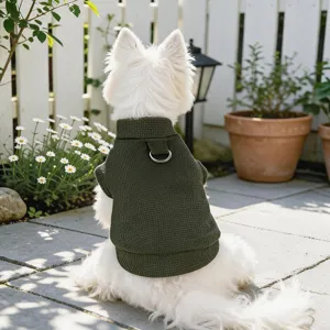 Vue détaillée du pull tricoté pour animaux vert foncé avec anneau de traction en métal au dos.
