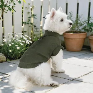 Pull-over en tricot vert pour chien avec anneau de laisse, vue détaillée pour petits animaux.