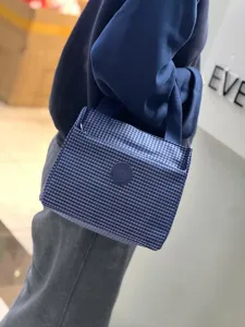 Stijlvolle blauw geruite geïsoleerde lunchtas draagbare bento tas voor alle forenzen