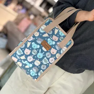 Waterproof Insulated Lunch Bag Cute Cartoon Bento Handbag Portable Food Storage Container