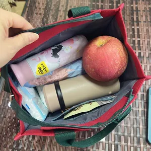 Borsa porta pranzo in tela per uomo donna, grande capacità, borsa bento portatile.