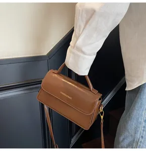 Detailed shot of a brown structured small top handle crossbody square bag with metal hardware.