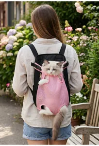 Outdoor detail view of a breathable pink mesh pet backpack carrying a cute cat safely.