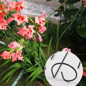Nahaufnahme von grünen Metall-Pflanzenstützen im Garten, robuste und stabile Struktur.
