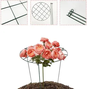 Green metal garden plant support trellis ring grid design for climbing flowers and yard decor.