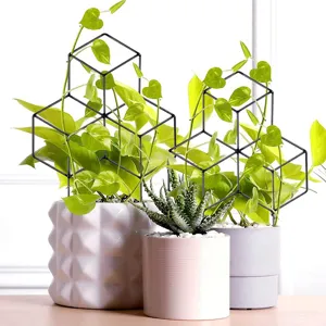 Zwart metalen plantenrek geometrische klimsteun voor kamerplanten en groene.
