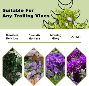 Mondform Metall Pflanzen Spalier Kletterhilfe Stuetze fuer Reben Blumen Topfpflanzen.