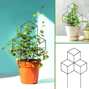 Metalen planten trellis voor klimplanten, geometrische tuinstok ondersteuning