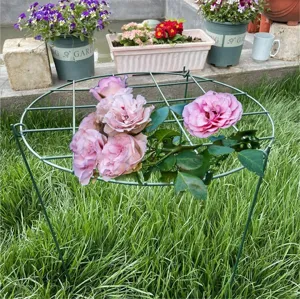 Green metal garden plant support grid frame for climbing flowers and yard decoration 1pcs