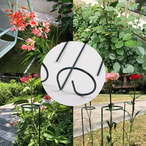Grüne Eisen-Pflanzenstützen für Gartenblumen, Außen-Topfpflanzen-Stützstäbe und Rankhilfen.