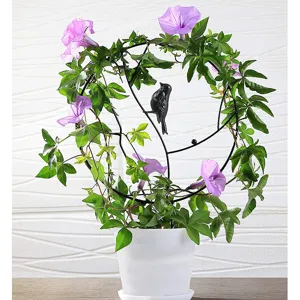 Rundes Metall Pflanzen Rankgitter mit Vogeldeko, stabile Kletterhilfe für Blumen.