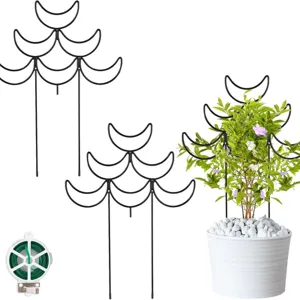 Mondförmige Eisen Rankhilfe Metall Klettergerüst Für Topfpflanzen Innen Garten Dekorative Blumenstütze Gartenbedarf