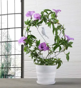 Metall Pflanzen Kletterhilfe mit Vogel Dekor und weissem Blumentopf fur den Garten.