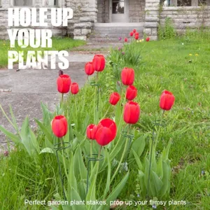 Detailansicht grüner Metall-Pflanzenstützen im Garten, die Tulpen aufrecht im Beet halten.