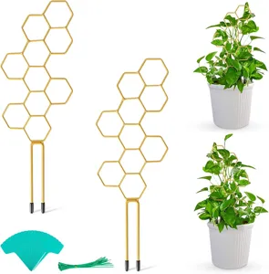 Goldene Waben Pflanzenkletterhilfe Metall Kletterhilfe Gartenpfahl für Zimmerpflanzen und Ranken