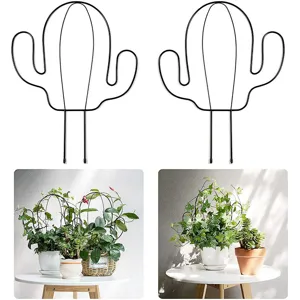 Trellis per Piante a Cactus in Ferro Telaio da Arrampicata in Metallo Nero Supporto per Fiori da Giardino per Piante in Vaso