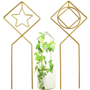 Geometrisches Metall Eisen Kletterspalier Gold Stern Herz Form Topfpflanze Weinrebe Stützpfähle Für Garten Haus Wohnzimmer Terrasse Deko