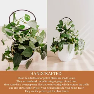 Gedetailleerd overzicht van zwart metalen plantenrekje met rond ringontwerp voor potplanten.