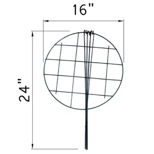 Wrought iron plant support stake dimension detail showing 16x24 inches size for climbing plants.